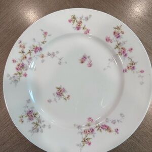 Theodore Haviland Limoges France pink Spray 9 3/4 inch Porcelain Dinner Plate